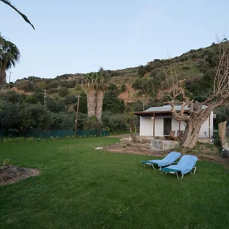Jane's House فيلة *