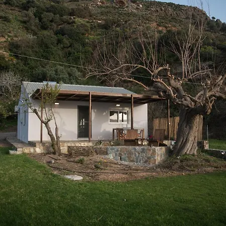 فيلة Jane's House *